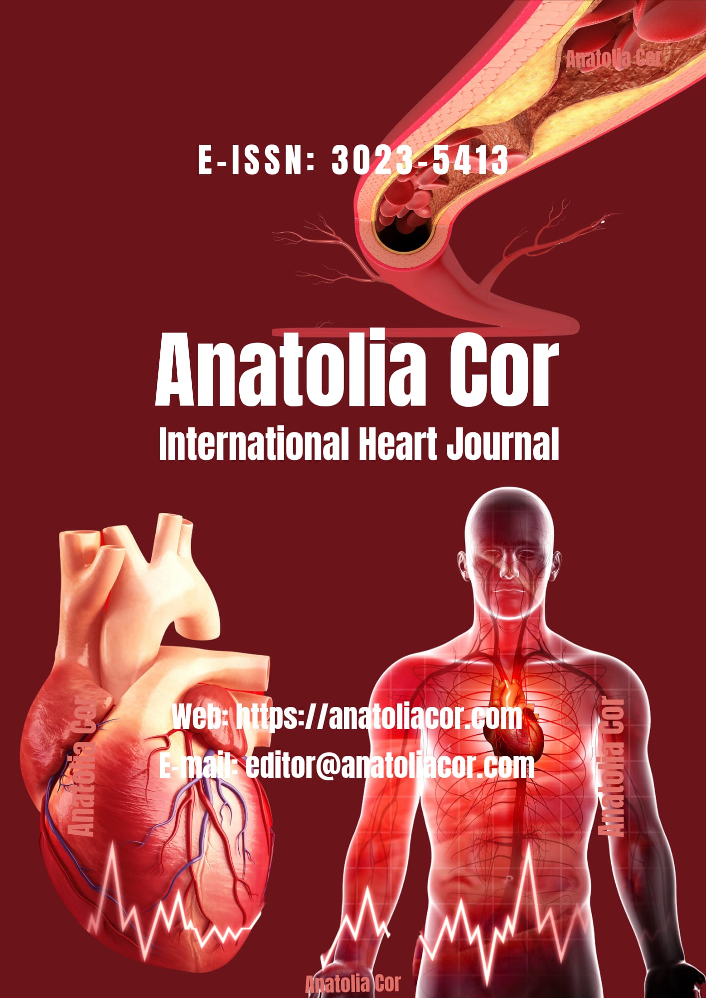 					Cilt 3 Sayı 1 (2025): Anatolia Cor - International Heart Journal Gör
				