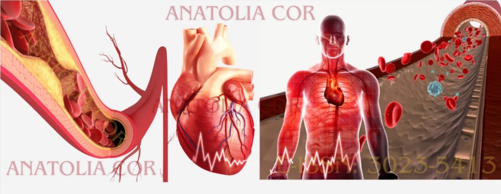 Anatolia Cor Logo